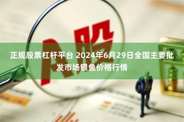 正规股票杠杆平台 2024年6月29日全国主要批发市场银鱼价格行情