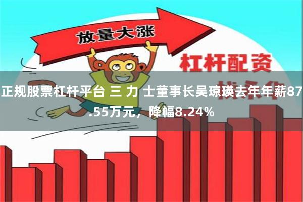 正规股票杠杆平台 三 力 士董事长吴琼瑛去年年薪87.55万元，降幅8.24%