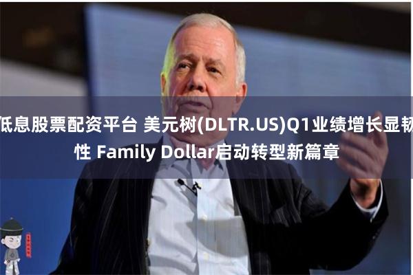 低息股票配资平台 美元树(DLTR.US)Q1业绩增长显韧性 Family Dollar启动转型新篇章